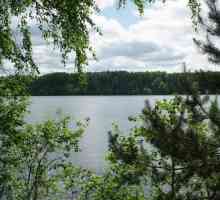 Podrijetlo imena Valdai jezera. Jezero Valday: opis i fotografija