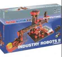 Industrijski robot. Roboti u proizvodnji. Automatski roboti
