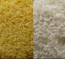 Parena riža: koristi i štetu tijelu, kuhanje i recenzije