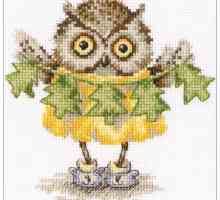 Jednostavna shema za vezenje "Owl"