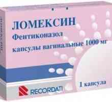 Antifungalna vaginalna svijeća `Lomexin`: upute za uporabu