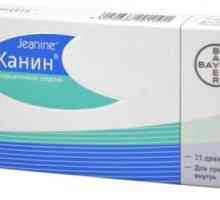 Kontraceptivne pilule "Zhanin". Upute za upotrebu, povratne informacije