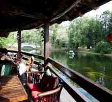 Provedite romantični dan i večer uz restoran `Swan Lake`!