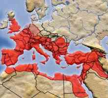 Provincija Rimskog Carstva. Popis rimskih provincija