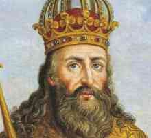 Proglas Charlemagnea kao cara. Pojava i raspad carstva Velikog Carstva