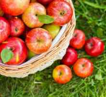 Prozirno pekmez od cijelih jabuka: recept, tajne za kuhanje