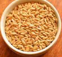 Zobena pšenica u multivarhu `Redmond`: tajne kuhanja