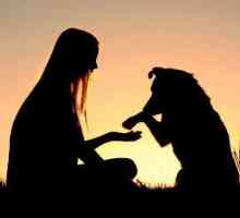 Psihologija pasa. Osnove obuke životinja