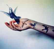 Ptice na rukama (tetovaže) i njihovo značenje