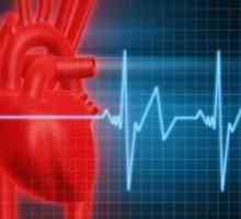 Puls: pulsna karakteristika, tablica otkucaja srca prema dobi