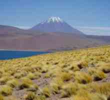 Pustinja Atacama je najgušće mjesto na planeti