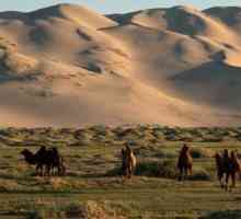 Pustinja Gobi je nedostupna i lijepa