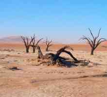 Pustinja: ekološki problemi, pustinjski život