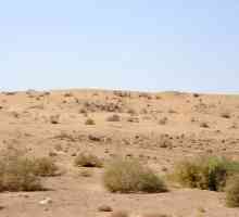 Karakum pustinja (Turkmenistan): opis, značajke, klima i zanimljive činjenice