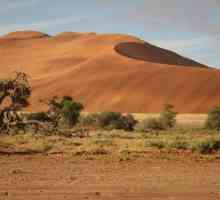 Namibska pustinja - glavna atrakcija Namibije