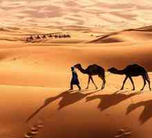 Pustinja Sahara: fotografije, zanimljive činjenice i zemljopisni položaj
