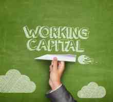 Radni kapital je indikator likvidnosti tvrtke