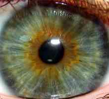 Iris oka: boja, mjesta, bolesti