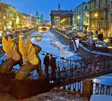 Okruzi St. Petersburgu: potpuni popis