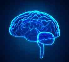 Rak četvrtog stupnja mozga: koliko živi? prognoze