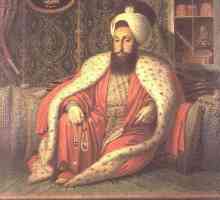 Dezintegracija Osmanskog Carstva: povijest, uzroci, posljedice i zanimljive činjenice