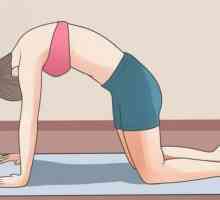 Istezanje leđa: osnovne vježbe