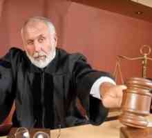 Pojašnjenje sudske odluke: nijanse i suptilnosti