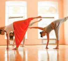 Vrste joge - opis i razlike. Kriya Yoga. Bhakti Yoga