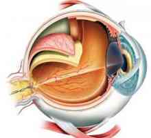 Ruptura retine: uzroci, liječenje, posljedice