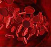 RBC: test krvi, transkript, norma i vrijednost. Normalni broj crvenih krvnih stanica (RBC) u krvi