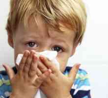 Dijete često pati od hladnoće: što učiniti? Liječnički komentari