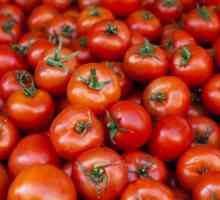 Marinada recept za rajčicu po litri vode