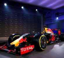 "Red Bull". `Formula 1`. Zanimljive činjenice o timu