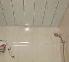 Stropni strop u kupaonici - kako napraviti pravi izbor?