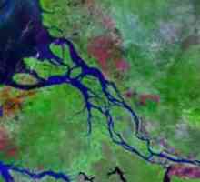 Amazonska rijeka je rijeka koja puni tekućinu na svijetu