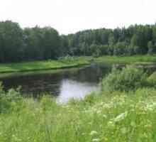 Rijeka Pasha (Leningradska regija). Dobro mjesto za uspješno ribolov