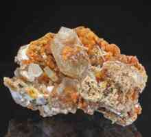 Reljef i mineralna bogatstva Krima. Koji minerali se minira u Krim?
