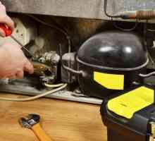 Popravak i zamjena kompresora hladnjaka: značajke i preporuke