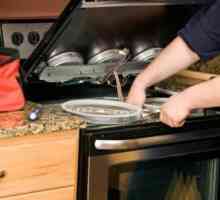Popravak električnih peći je skup. Kako odabrati kvalitetan kućanski aparat