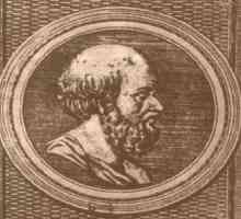 Eratosthenes sita u programiranju