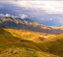 Республики Казахстан: горы и их растительный и животный мир