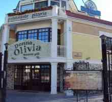 Restoran `Donna Olivia` (Ekaterinburg): fotografija, jelovnik, recenzije