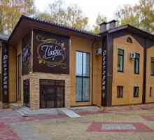 Restoran `Pafos`, Tula: izbornik, adresa, recenzije