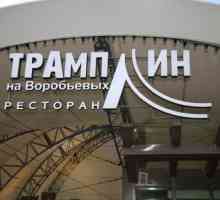 Restoran `Trampoline` na Vorobyovyh, Moskva: pregled, izbornik i recenzije turista