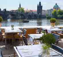 Restorani u Pragu: jelovnik, recenzije i cijene. Najbolji restorani u Pragu