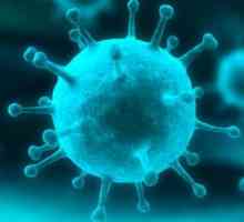 Što je retrovirus?