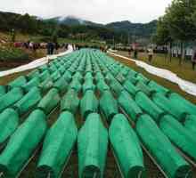 Masakr u Srebrenici 1995. godine: razlozi