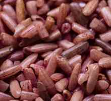 Riža fermentirana: primjena, svojstva, doziranje