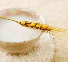 Rice kvas: korist i zla