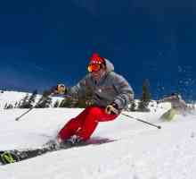 Rossignol, Alpine skijanje: vrste, modeli, recenzije